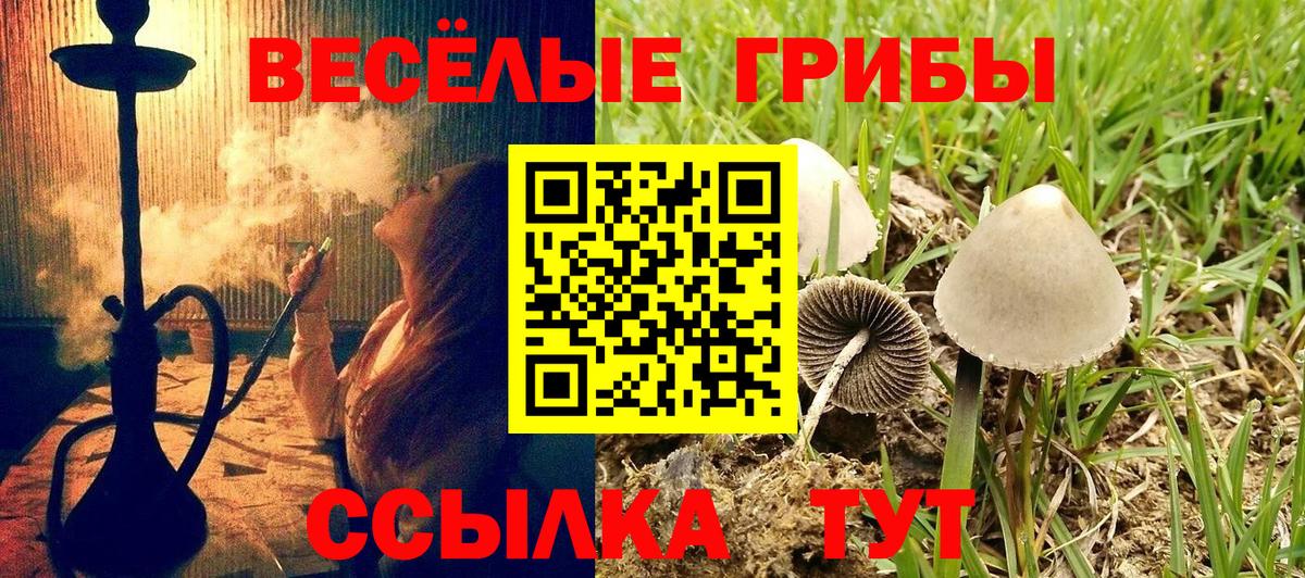 Мурманск  Псилоцибиновые грибы прущие грибы  Вход с VPN 