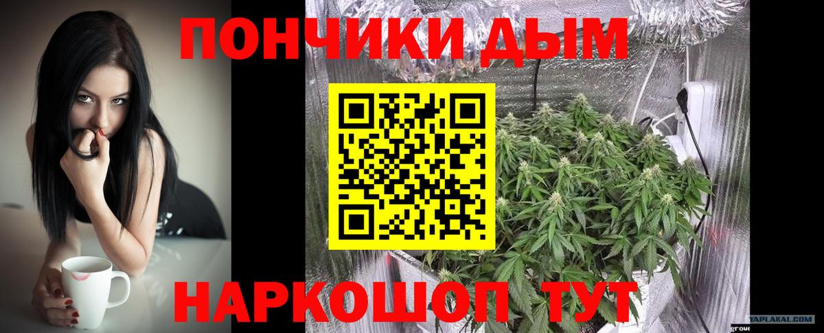 Бошки марихуана AK-47  Бошки марихуана White Widow  Конопля White Widow  Мурманск  Вход с VPN 